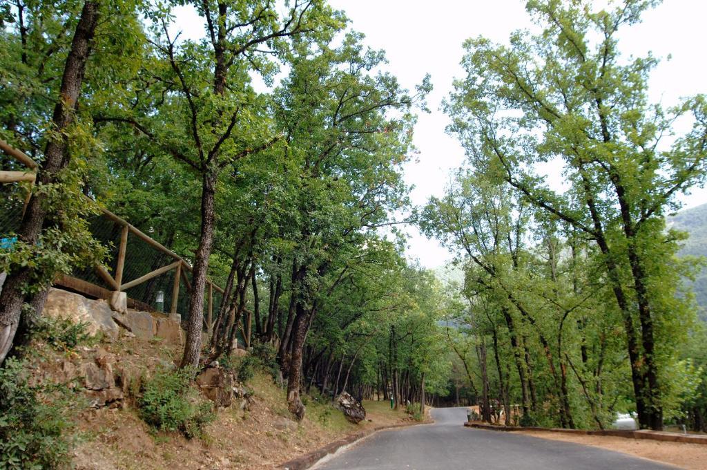 Camping Gavin Otel Dış mekan fotoğraf